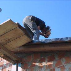 IMG_2500.jpg