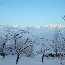 DSC02374.jpg