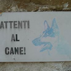 Schild-Hund1.jpg