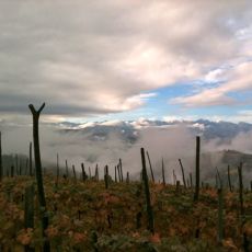 IMG_0229.jpg