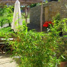 IMG_3127.jpeg