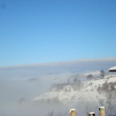 DSC02384.jpg