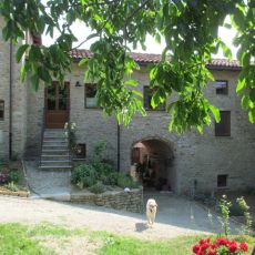 IMG_3072.jpg